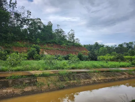 Bán đất thanh trường