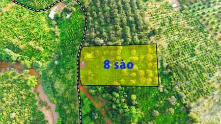 Đất rẫy 8 sào giá chỉ 900tr tại Gia Nghĩa