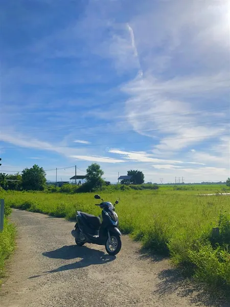 Chào bán 184m2 view đồng thoáng mát. sát trục chính liên thôn. đường thông thoáng sạch sẽ