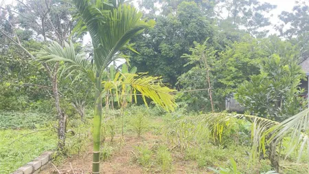 Chính chủ gửi bán 100m2 full ont gần khu cn thanh cao lương sơn hòa bình (giá đầu tư) chỉ hơn 700tr