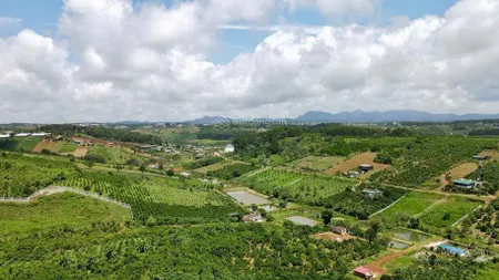 Lô đất có thổ cư, mặt đường lớn, view rừng thông, sát trung tâm tp bảo lộc