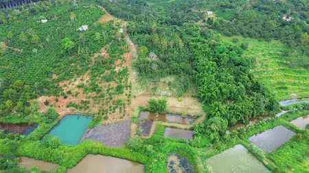 Bán đất nghỉ dưỡng view suối săn mây tp gia nghĩa, 250 triệu