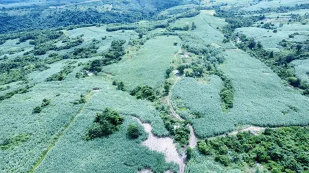 có 37 ha đất có suối bao quanh