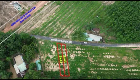 Đất long tân dầu tiếng bán gấp 550 triệu/lô
