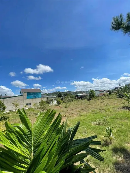Đất biệt thự vườn 1000m2 sẵn 150m2 thổ cư, xây dựng nhà được 175m2 sổ hồng sẵn, sang tên nhanh lun