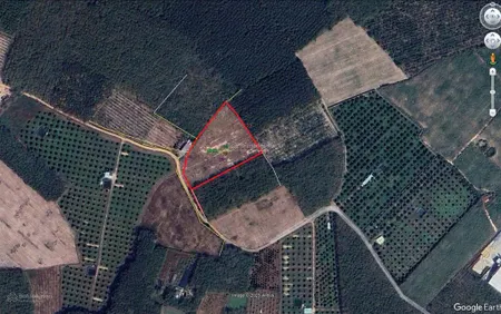 Đất đẹp, giá cả phải chăng tại hưng thuận, trảng bàng, tây ninh. diện tích 10.009m², giá 10 tỷ
