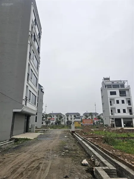 Bán đất dịch vụ tl9 vị trí đắc địa, đầu tư sinh lời! diện tích 62m2, mặt tiền 4.72m
