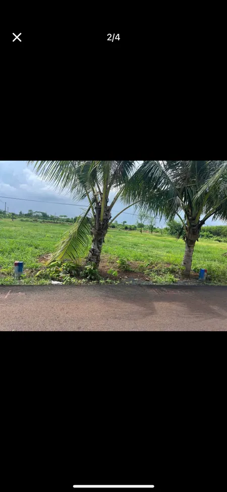 Bán đất 136,1m² ngang 5m giá 550 triệu Xã Đất Đỏ
