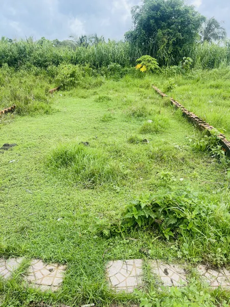 Bán đất 91,6m² ngang 5m giá 690 triệu Xã Phú Quới