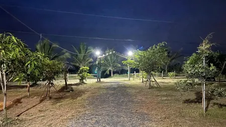 Chính chủ bán đất Xã Tân Điền, Gò Công Đông. DT 1,272m2. Giá chỉ 1,6 tỷ