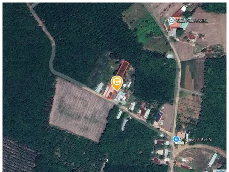 Bán đất 996.6m² ngang 7m giá 800 triệu Xã Phước Thành