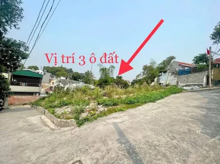 BÁN ĐẤT NGÕ 20 CAO XANH,QUẢNG NINH
