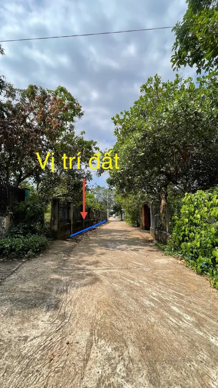 Bán đất 214,8m² ngang 6m giá 960 triệu Xã Bình Giã