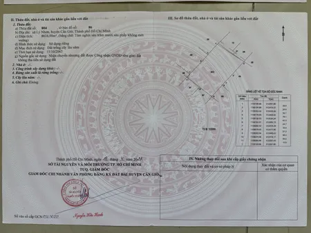 Bán đất 8669.3m² ngang 100m giá 22 tỷ Xã An Thới Đông