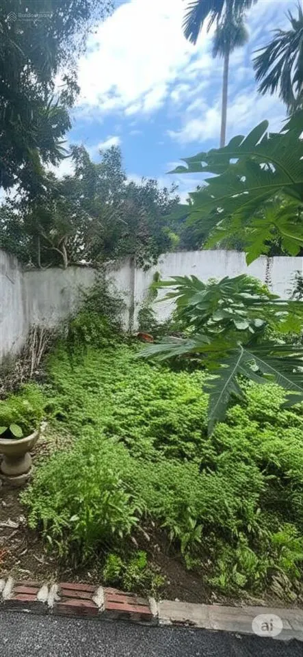 Bán đất 52,9m2 tại tây tựu, bắc từ liêm, hà nội, giá 5,9 tỷ, view đẹp hot