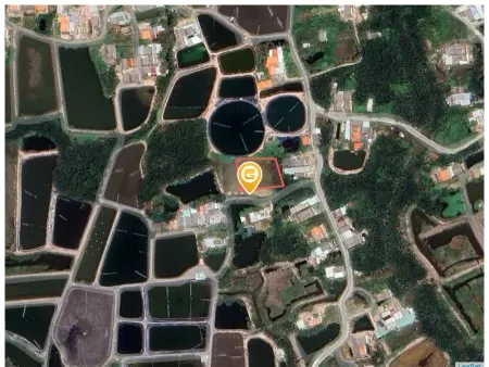 Bán đất 2120,8m² ngang 30m giá 4.1 tỷ Xã Cần Đước