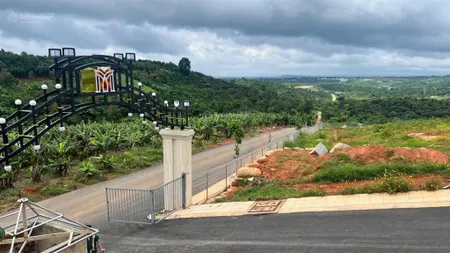 Chính chủ cần tiền ra gấp nên đất full thổ cư 140m2 giá 650tr, dân cư đông, cho vay 50%.