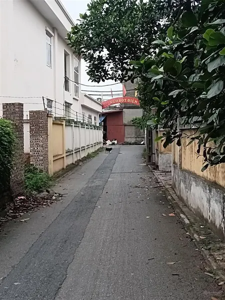Bán đất trung tâm đa tốn dt 52m2 giá 3,5tỷ sổ vuông đẹp, ngõ thông oto đỗ cửa. 0918 062 ***