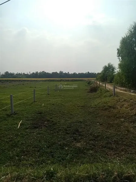 Tôi chính chủ cần bán đất đức huệ long an