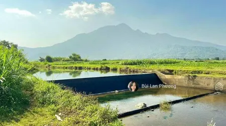 Siêu phẩm 468m2 thực tế 500m2 lô góc đẹp nhất yên bài view núi hàng hiếm giá êm