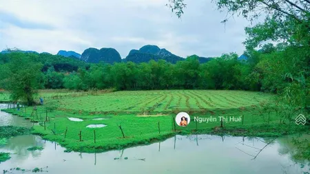 Sốc chỉ 799tr có ngay 262m² đất đô thị tại tt chi nê lạc thủy hòa bình