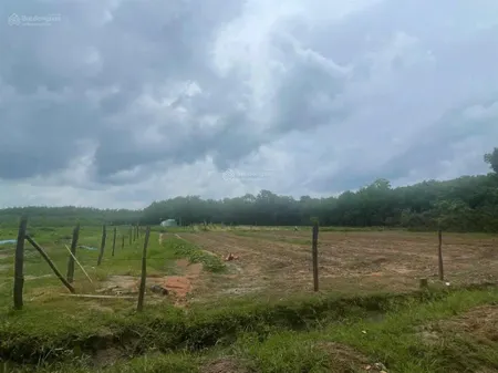 Công ty đấu giá hợp danh trực tuyến việt nam (vnoa) thông báo đấu giá tài sản