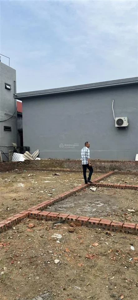Bán đất tại xã tân dân, an lão, hải phòng, 550 triệu, 63m2 giá siêu hời