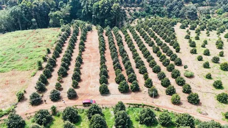 Lô góc 2 mặt tiền 1000m2 rẻ nhất hàng gòn chỉ 1,3 tỷ
