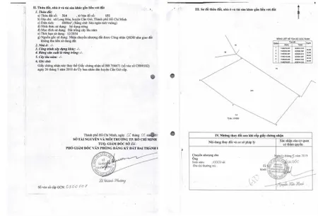 Bán đất 6000m² Xã Cần Giờ
