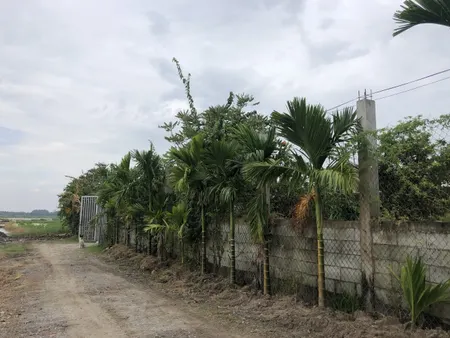 Chính Chủ Cần Bán 1660m Đất CLN, xã Tân Thới Nhì, Hóc Môn. Giá Chỉ 4.8tr/m2