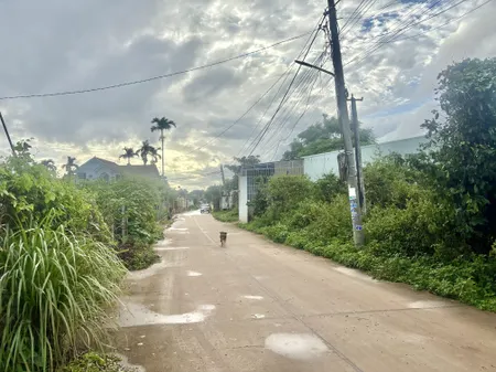 Đất hẻm chính  Lạc Long Quân