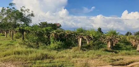 Bán đất 3600m² ngang 50m giá 800 triệu Xã Hồng Sơn