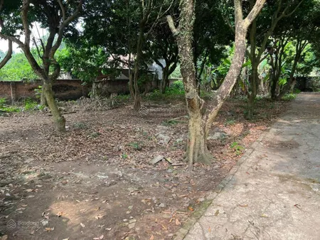 Bán đất lô góc 2 mặt tiền tân trại, phú cường 222m2 giá chỉ 3tỷ