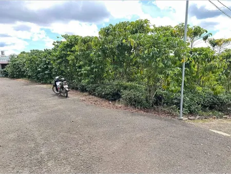 Bán đất mặt tiền đường nhựa gần hồ trung tâm bảo lâm