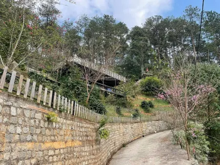 Bán đất đường mimosa
