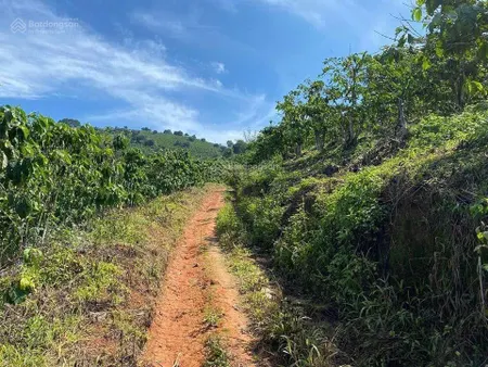 Bán đất xã Ninh Gia
