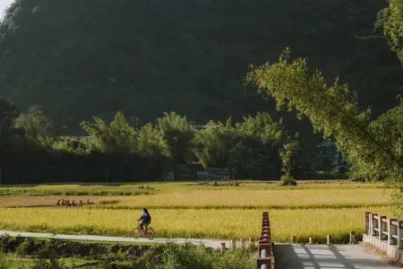 Bán lô đất 4.800m2 nguyễn bình phú xuân nhà bè giá tốt