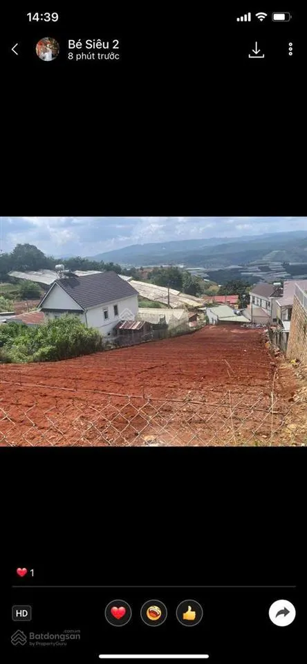 Bán lô đất đà lạt chính chủ 1000m2, có nhà màn sẵn đang trống hoa