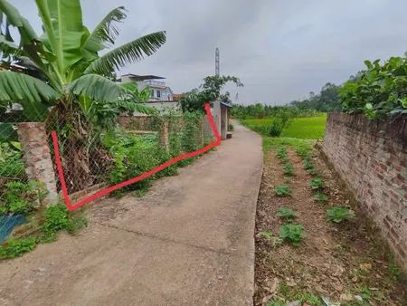 Bán đất 152m² ngang 7,9m giá 2.2 tỷ Xã Trung Giã