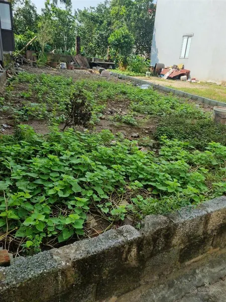 Cần bán gấp lô đất siêu đẹp tại văn giang, diện tích 111,5m2 giá siêu hợp lý, mời 0941 195 ***