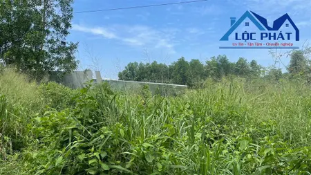 Bán đất skc ~8.500m2 gần kcn giang điền đồng nai, giá rẻ 29,5 tỷ