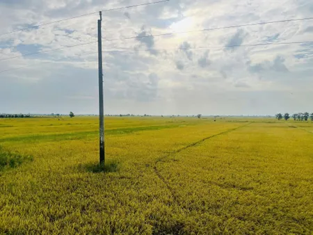 Bán đất 123548m² ngang 65m giá 2.3 tỷ Xã Thanh Bình