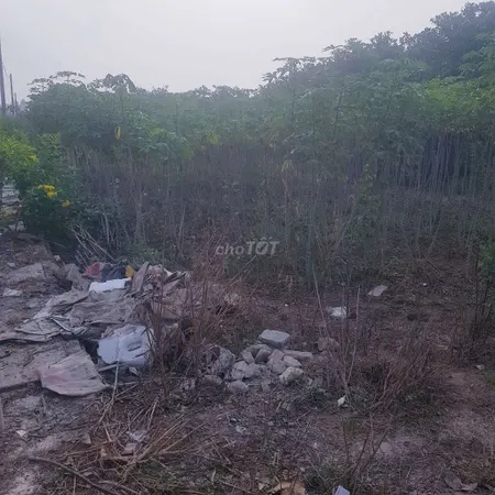 Bán đất 146.2m² ngang 5m giá 1.75 tỷ Phường Tân Thành