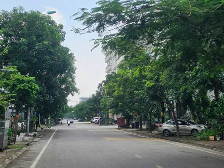 Bán 2 lô liền nhau 162m2 đất đường lê thánh tông. Khả lễ 1. Võ cường bắc ninh