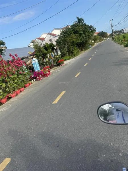 Mt lê thánh tông khu vực khí hậu như đà lạt, an mỹ, cẩm châu