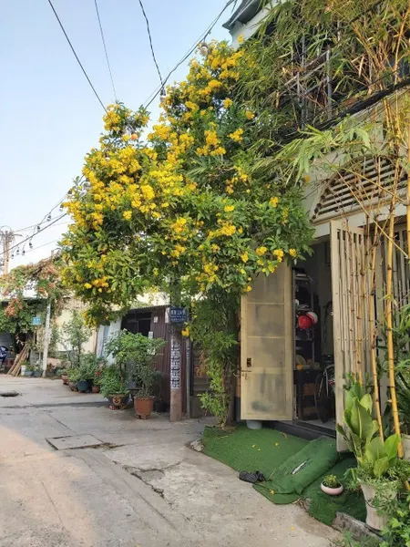 Nhà xây tâm huyết để ở kiên cố đúc 1 tấm xe hơi đậu mái nhà