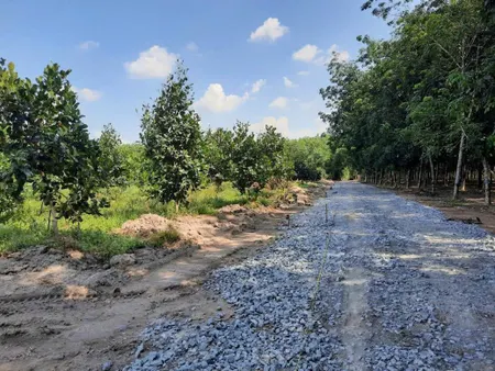 Bán đất ngang 15m giá 1.1 tỷ Xã Phước Thành Đang Trồng mít thái