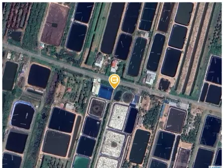 Bán đất 600m² ngang 17m giá 300 triệu Xã Tân Thới