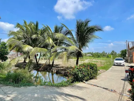 Đất full thổ Phước Tân Hưng, Châu Thành, Long An 125m² ngang 5m giá 350 triệu Xã Tầm Vu