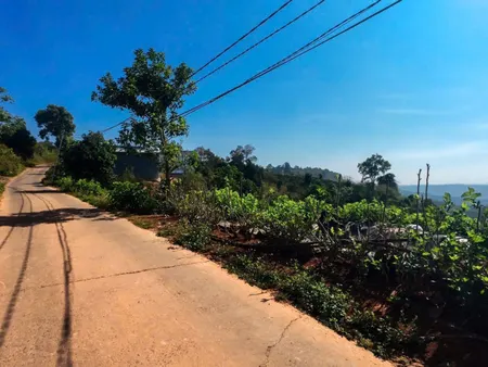 Hơn 1 sào đất thổ cư full Sầu Riêng 1000m² giá 799 triệu Xã Tân Hà Lâm Hà, Lâm Đồng